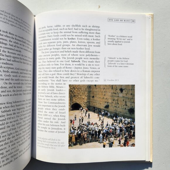 The Ancient Roman World Hardcover Textbook Book Reference Book 9780195153804 The - Picture 16 of 16